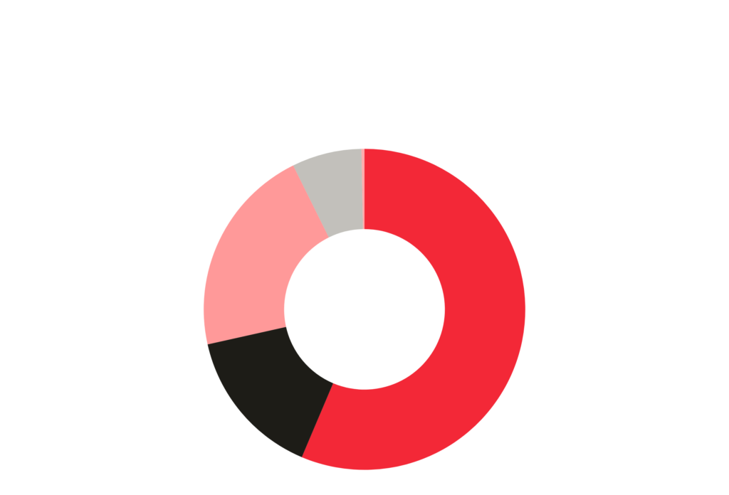 2025 Revenue_NhRP 2025 Revenue graph