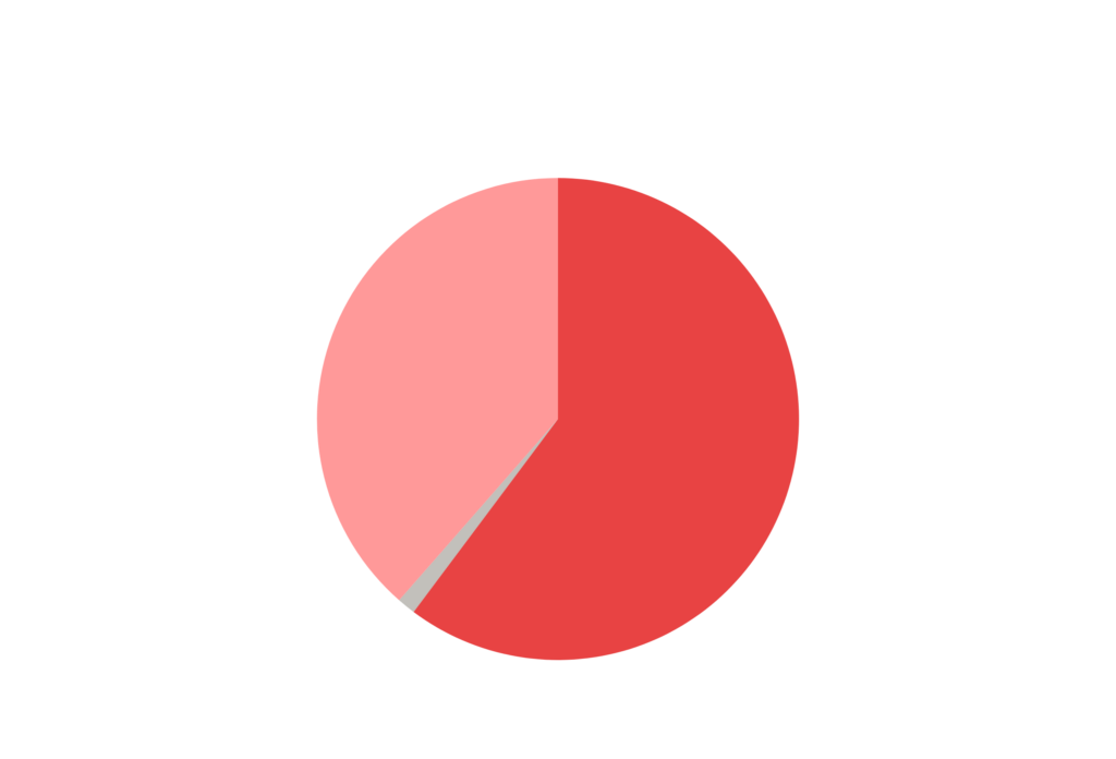 Program Expenses 2025 pie graph