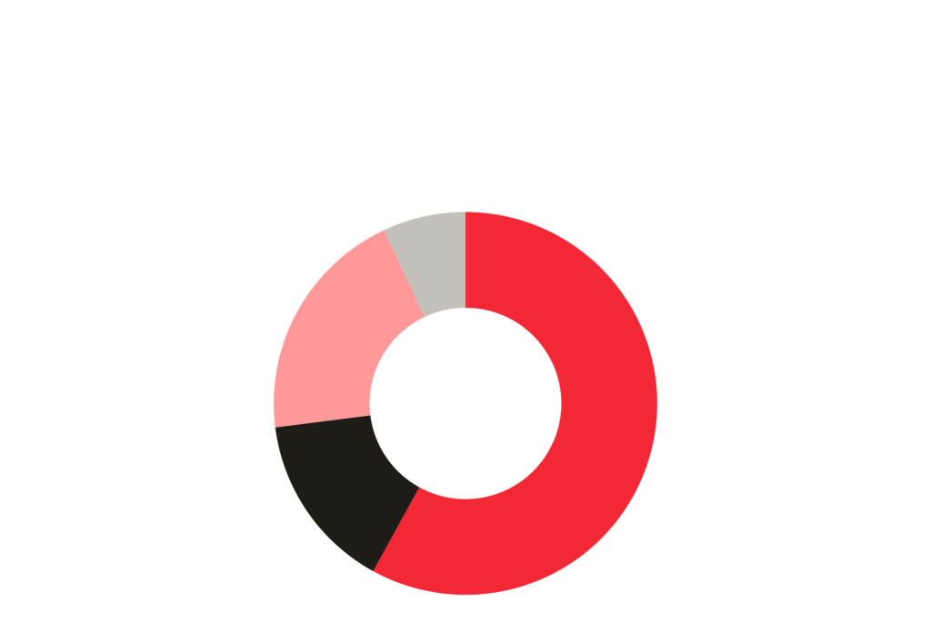 Annual Report 2025 Revenue (1)